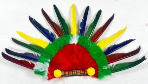 נוצות אינדיאני צבעוניים - שושי זוהר