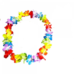 שרשרת הוואי צבעונית - שושי זוהר