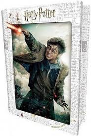 פאזל תלת מימד 300 חלקים בקופסא ספר ממתכת – הארי פוטר