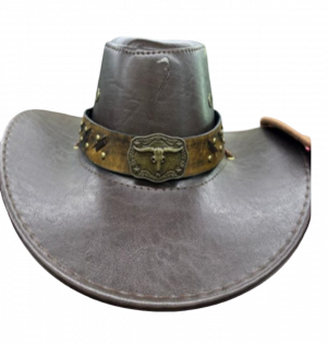 כובע בוקר - שושי זוהר