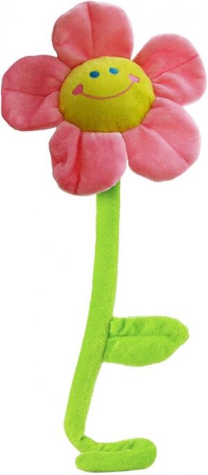 פרח קטיפה גדול