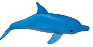 דולפין נמתח - מגוון